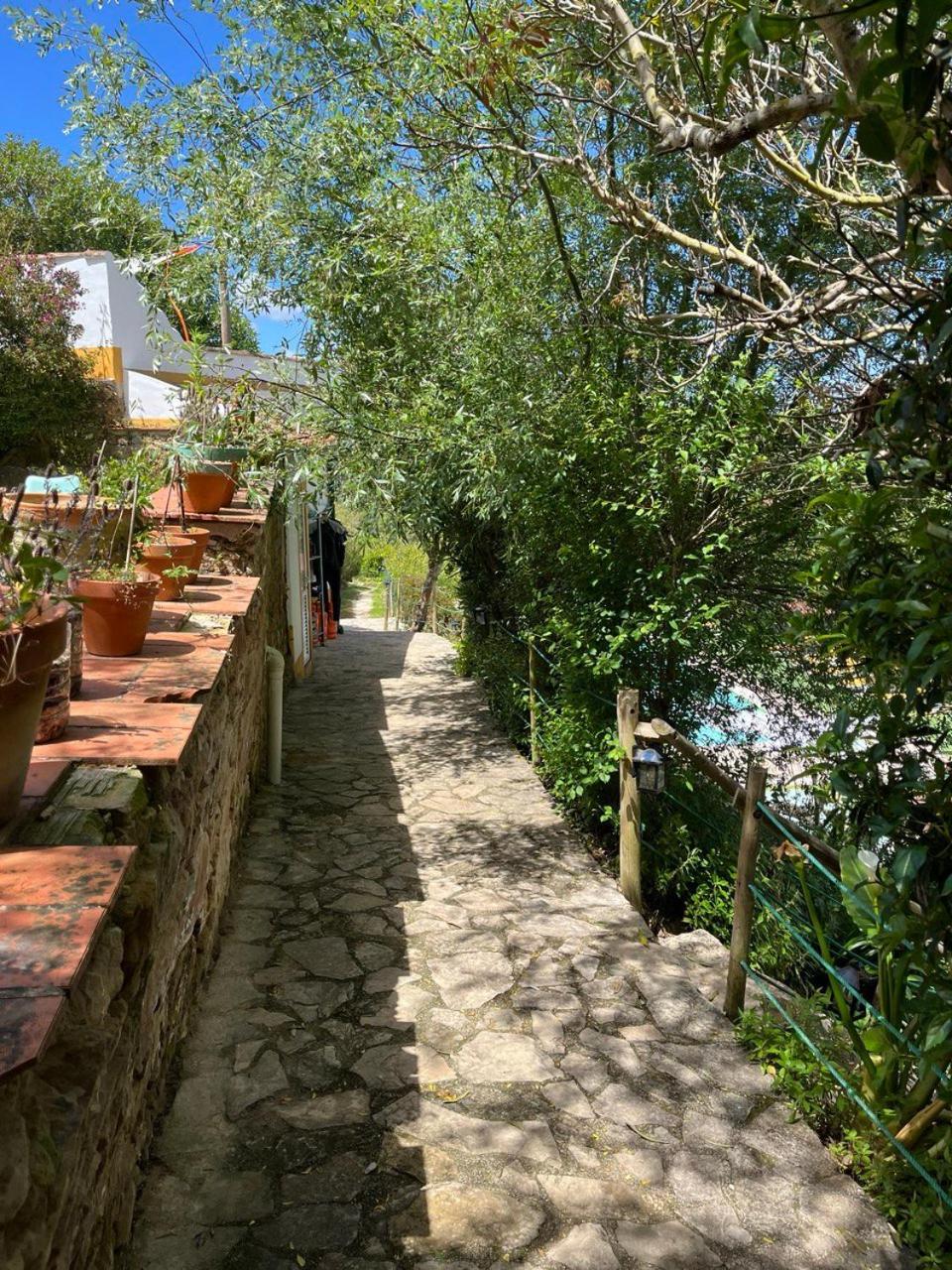 Quinta Laranja - Turismo Rural - Alvorninha Exterior photo